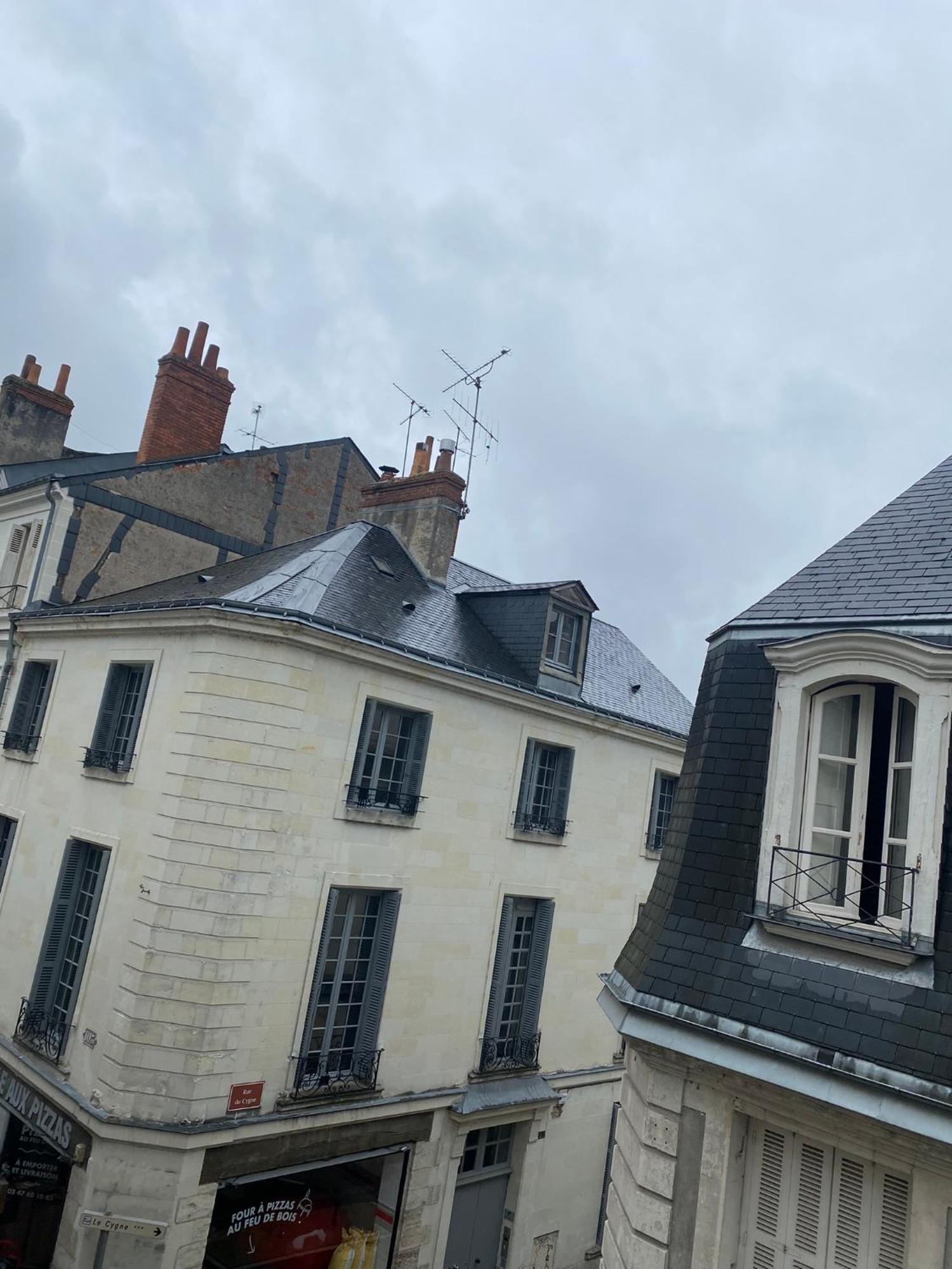 Grand Appartement Historique Rue Colbert Tours Eksteriør billede