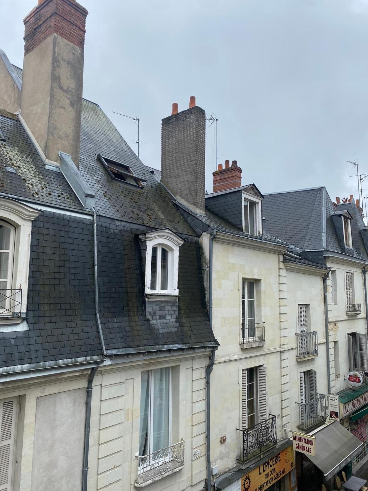 Grand Appartement Historique Rue Colbert Tours Eksteriør billede